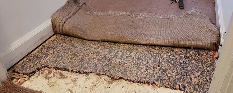 Carpet Repair Keilor