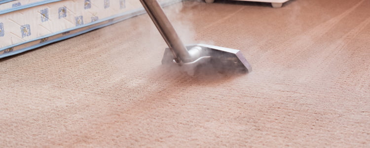 Hot water extraction Carpet cleaning